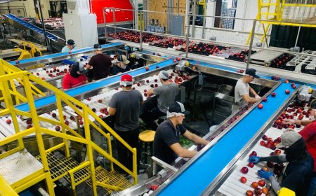 Apple Tingkatkan Perakitan iPhone di India Tanda Perubahan Besar