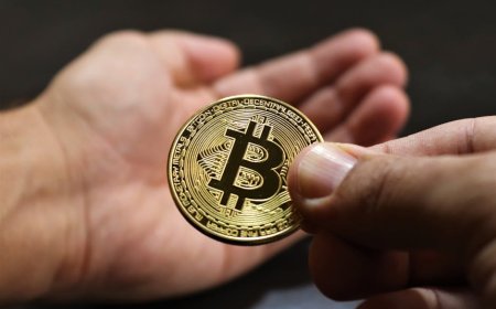 Cara Mudah Dapat $100 Sebulan dari Proyek Crypto di Nevis