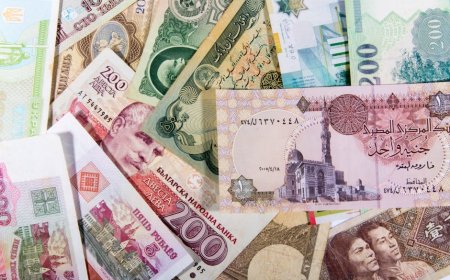 Fokus Kesehatan Nasional Ceko Dampaknya pada Asuransi dan Investasi