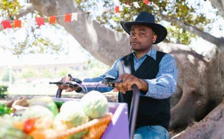 Trump Undang Petani dan Produsen Biofuel ke Acara Gedung Putih