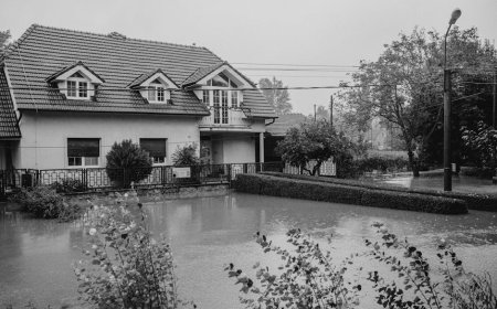 Krisis Asuransi Rumah di California Akibat Risiko Iklim Meluas