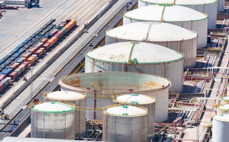 Strategi Jepang Hadapi Krisis Energi dan Implikasi Finansialnya