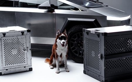 Mengungkap Fakta Kecelakaan Mematikan Tesla Cybertruck dan Penyebabnya