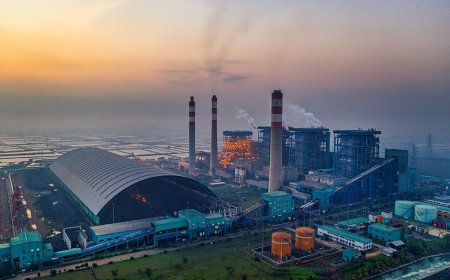 Kajian Mendesak Pebisnis Evaluasi Ulang Investasi Batubara di Tengah Tekanan Iklim