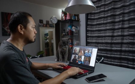 Apindo WFH Tidak Bisa Seragam Semua Sektor