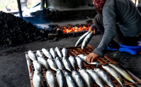 Elrina Bandeng Juwana Tumbuh Berkat Pemberdayaan BRI