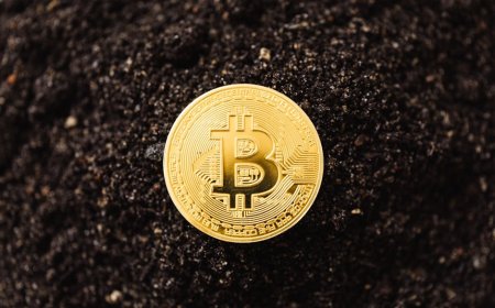 Aktivitas Bitcoin Miner Sepi Ekstrem Tanda Bullish Atau Tidak