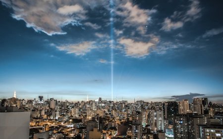 Haddad Mundur Jadi Menteri Keuangan Demi Pilgub Sao Paulo Dampaknya