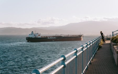 Jepang Menolak Minta Bantuan Iran Lewati Selat Hormuz