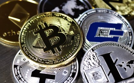 Coinbase Token untuk DP KPR Fannie Mae Apa Artinya