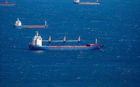 Program Asuransi Kapal Selat Hormuz Segera Dimulai Apa Dampaknya