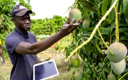 Juma AI Diluncurkan IT Del Dorong Digitalisasi Pertanian Danau Toba