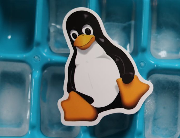 Pudgy Penguins Digugat Masalah Merek Dagang oleh Original Penguin