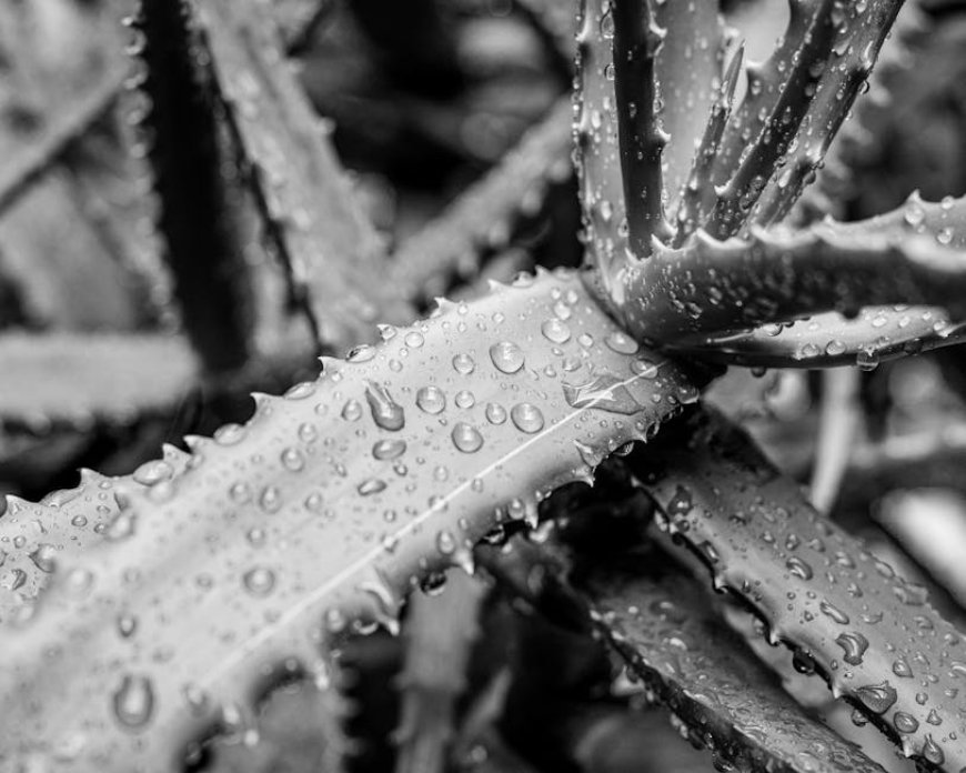 Begini Cara AI Dipakai untuk Strategi Perang Masa Kini