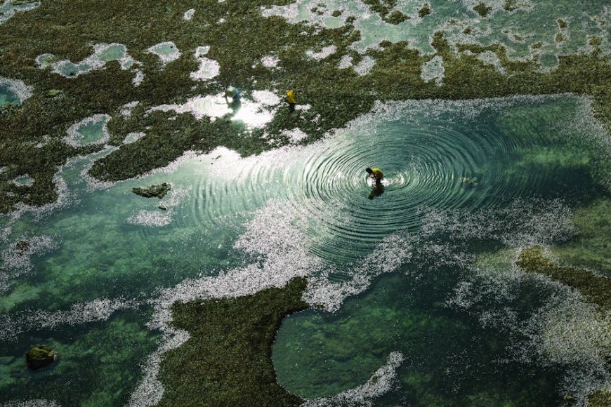 Mengapa Konflik Anthropic dan Pentagon Bisa Rugikan Industri AI Miliaran