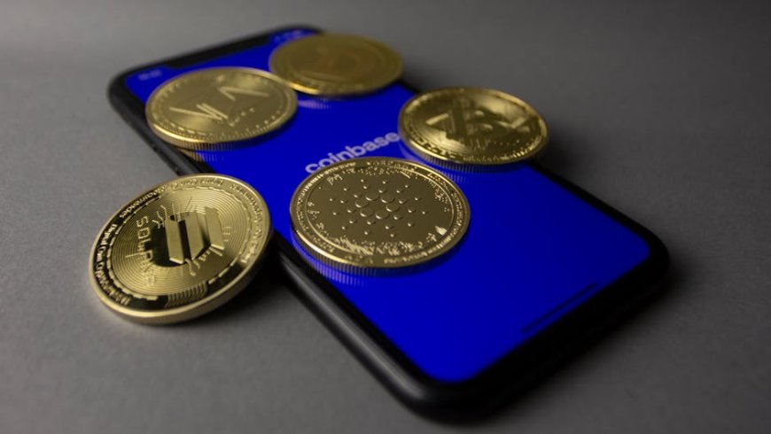Waspada Bonk Fun Diretas Cara Lindungi Dompet Solana Kamu
