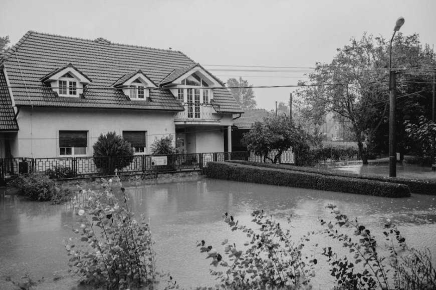 Krisis Asuransi Rumah di California Akibat Risiko Iklim Meluas