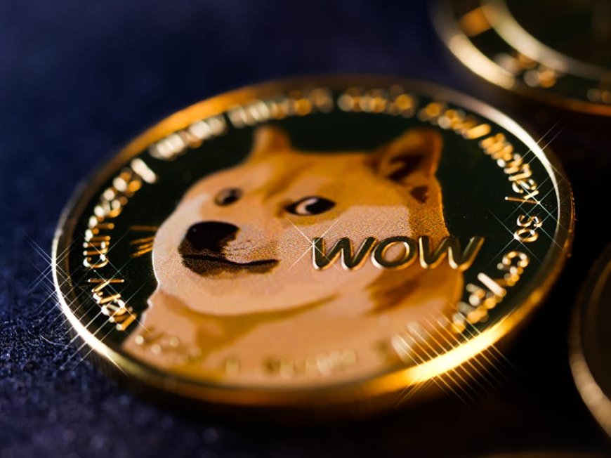 Dogwifhat dan Potensi Rally 750 Persen di Musim Meme Coin Solana