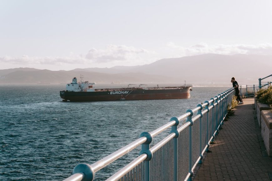 Jepang Menolak Minta Bantuan Iran Lewati Selat Hormuz