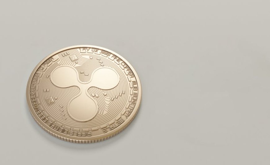 Adopsi Nyata XRP Sudah Di Sini Ini Yang Investor Lewatkan
