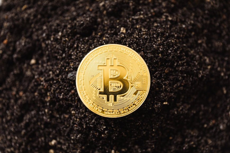 Qubic Luncurkan Rollout Tiga Fase Serang Penambangan Dogecoin