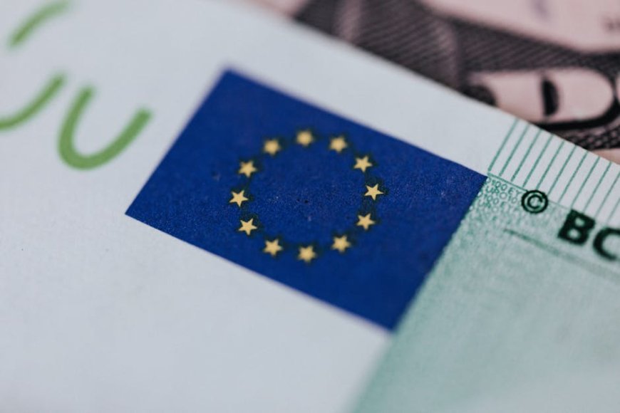 Euro Stablecoin Dominan di Pasar Non Dolar Apa Artinya