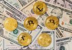 Bithumb Gugat Pemulihan 7 Bitcoin Akibat Kesalahan Payout