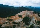 Investor Dorong Aksi Hentikan Deforestasi dan Risiko HAM di Tambang Nikel