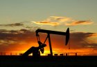 ConocoPhillips Evaluasi Peluang Minyak di Venezuela dan Dampaknya