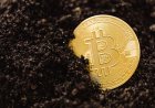Tether Hadirkan MDK, Revolusi Penambangan Bitcoin Sumber Terbuka