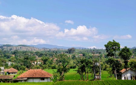 Inovasi Kampung Koboi Tugu Selatan Bogor, Berdayakan Potensi Lokal dalam Desa BRILiaN