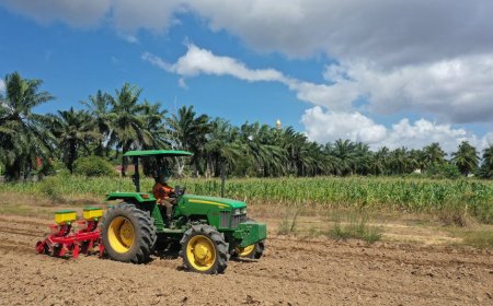 PT HIP Bangun Kebun Plasma 1400 Hektare wujud sinergi kemitraan