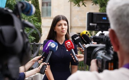 Elizabeth Warren Kritik Tekanan AS ke Uni Eropa Longgarkan Regulasi Teknologi