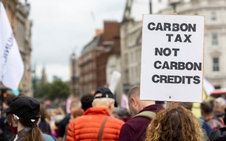 Runtuhnya Perusahaan Mengguncang Kepercayaan Pasar Karbon