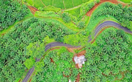 Perhutani Sukabumi Perkuat Koordinasi dengan DPTR untuk Sinergi Lahan Hutan