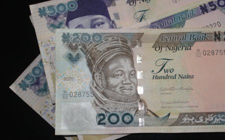 Cara Mengalokasikan 100 Juta Naira untuk Investasi yang Lebih Terarah