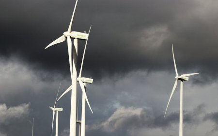 Industri Angin Spanyol Peringatkan Pajak Windfall UE Berisiko Hambat Investasi