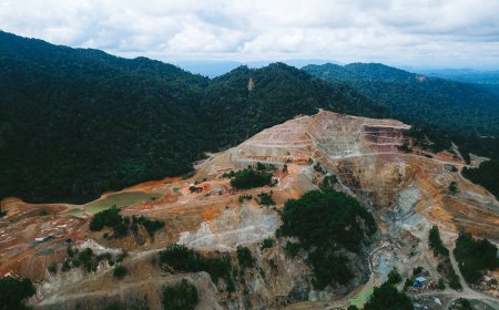 Investor Dorong Aksi Hentikan Deforestasi dan Risiko HAM di Tambang Nikel