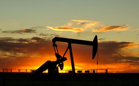 ConocoPhillips Evaluasi Peluang Minyak di Venezuela dan Dampaknya