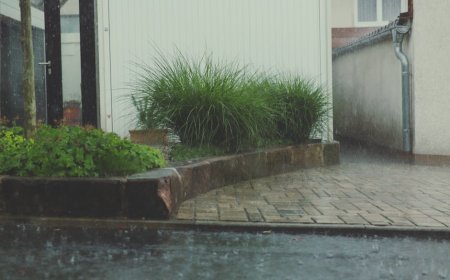 Rain Fences Belanda Perkuat Rumah Hadapi Banjir dan Kekeringan