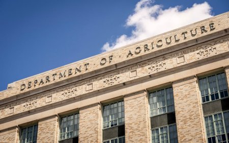 DOJ Buka Proses Kompensasi Korban OneCoin Rp4B