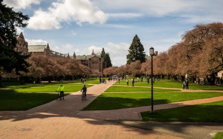 Binus Luncurkan Doktor Akuntansi Berbasis AI