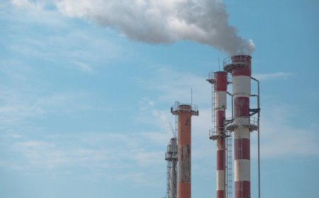 Revolusi Carbon Pricing Eropa dan Dampaknya ke Biaya Perusahaan
