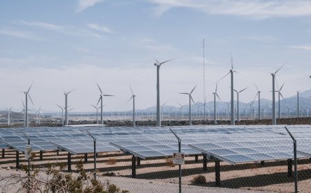 Lonjakan Harga Kontrak Solar dan Wind AS Dampaknya ke Biaya Proyek