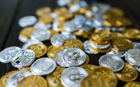 Crypto Valley Swiss Naik 37 Persen 2025 TON Memimpin