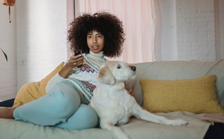 Booming TV Anjing, Apakah Hewan Peliharaan Benar-benar Menikmatinya?