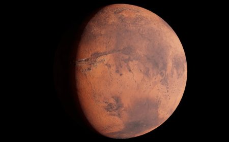 Skandal Kemitraan Bruno Mars Palsu Perusahaan Orb Sam Altman Terungkap