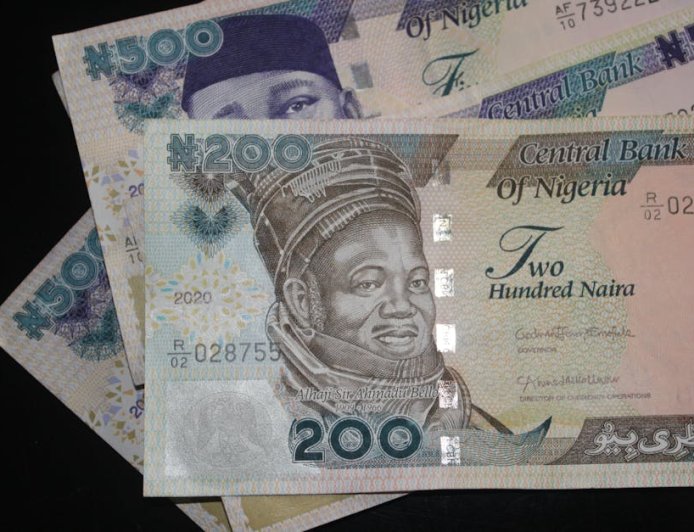 Cara Mengalokasikan 100 Juta Naira untuk Investasi yang Lebih Terarah