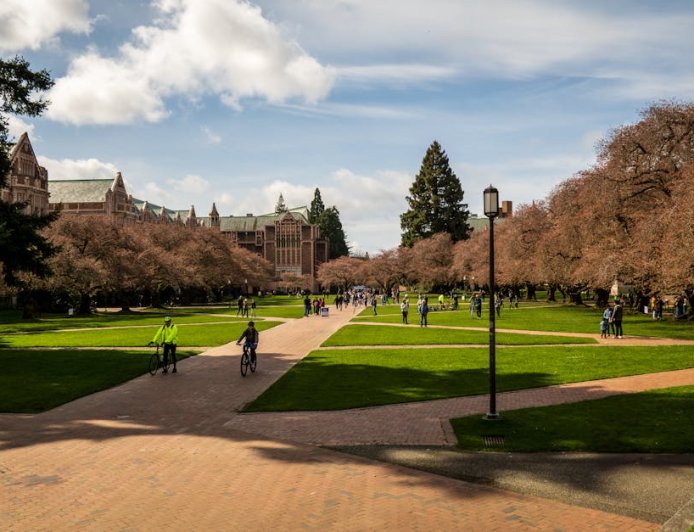 Binus Luncurkan Doktor Akuntansi Berbasis AI