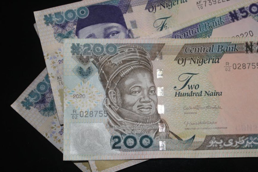 Cara Mengalokasikan 100 Juta Naira untuk Investasi yang Lebih Terarah